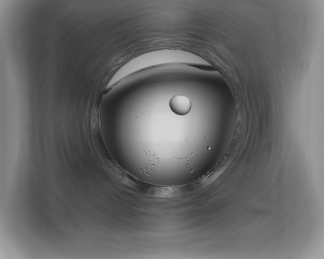 X0000113900096200909241446