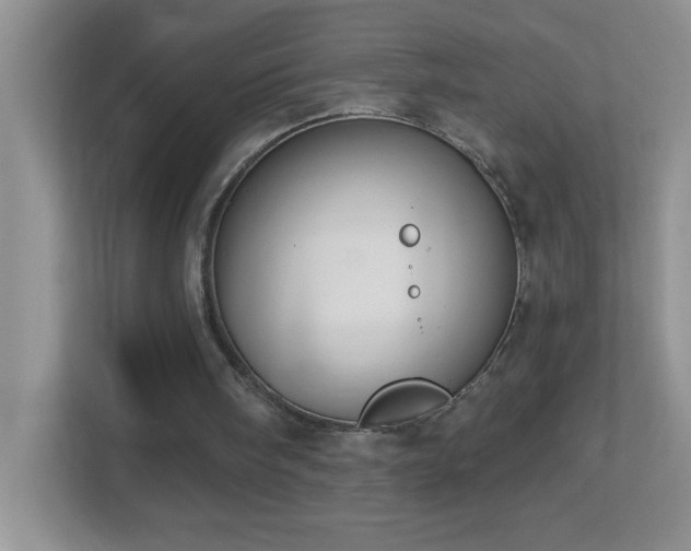 X0000113900098200909241445