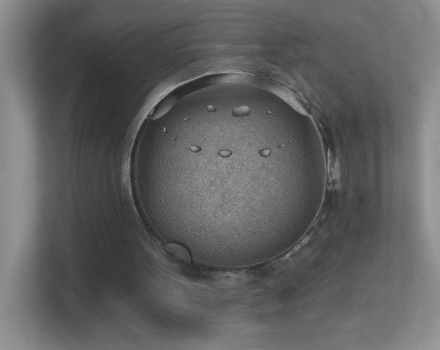 X0000113900099200909241445