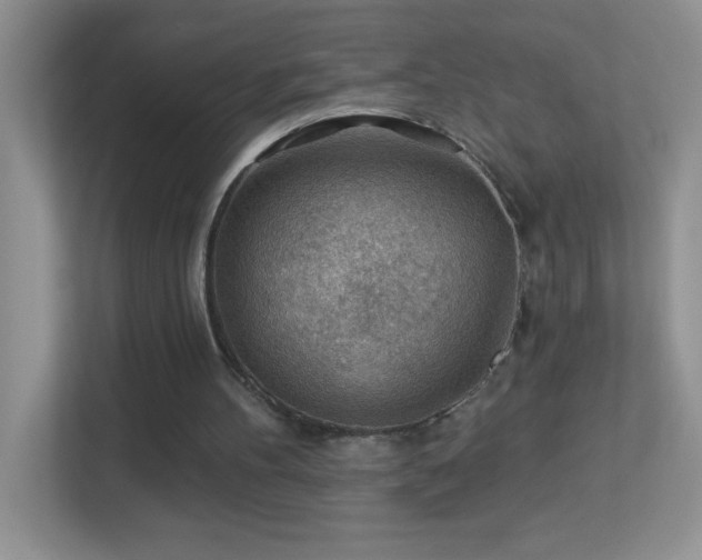 X0000113900100200909241445