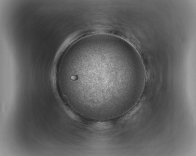 X0000113900101200909241445