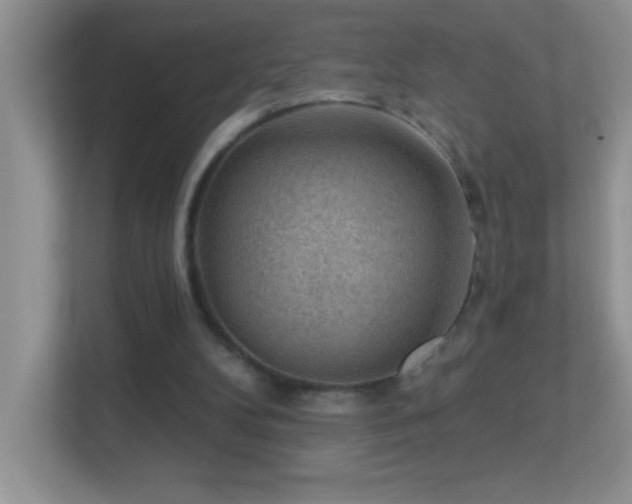 X0000113900104200909241445