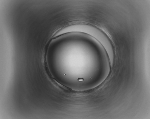 X0000113900105200909241445