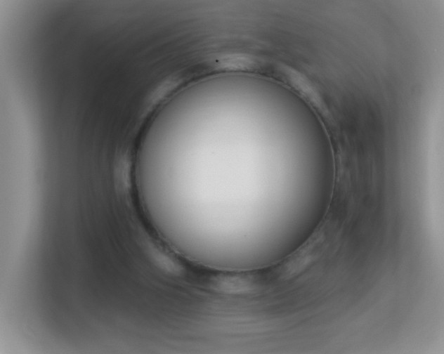 X0000113900106200909241445