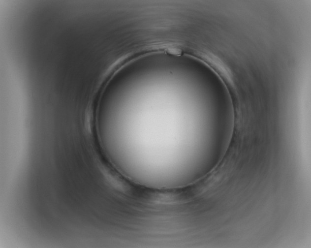 X0000113900107200909241445