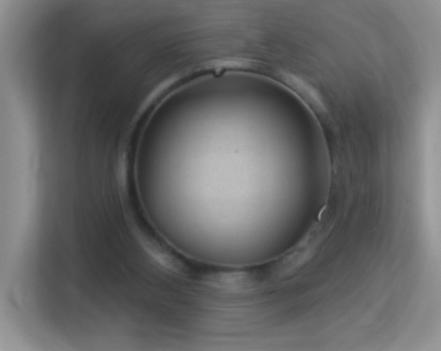 X0000113900108200909241445