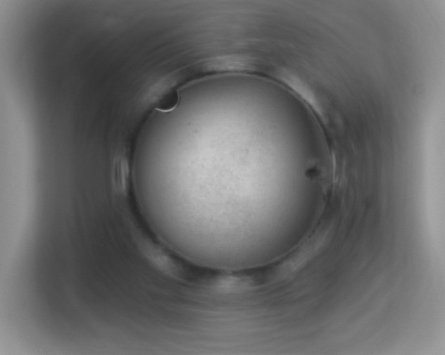 X0000113900109200909241445