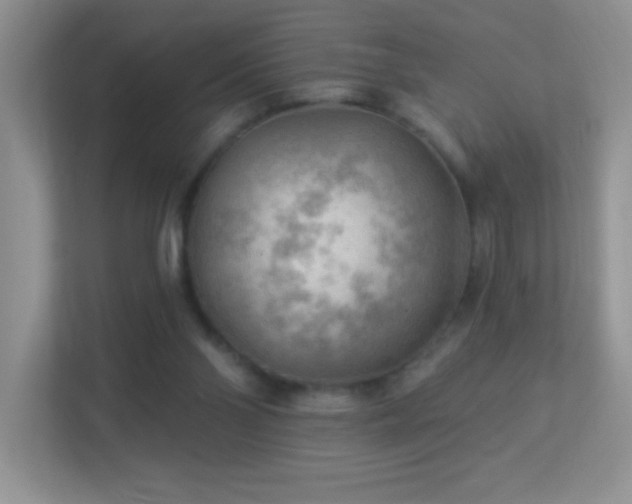 X0000113900110200909241445