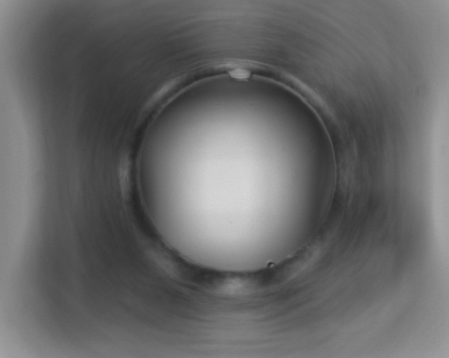 X0000113900111200909241445