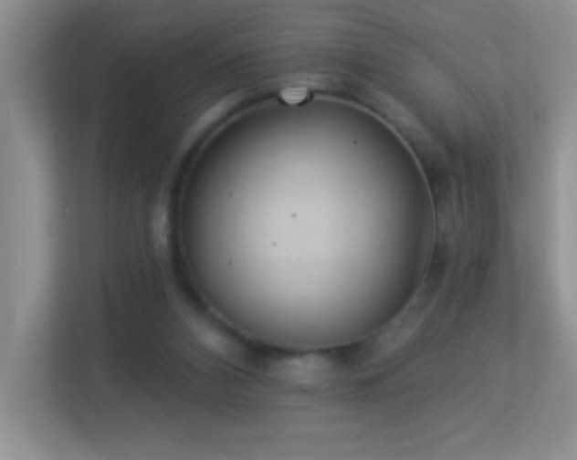 X0000113900112200909241445