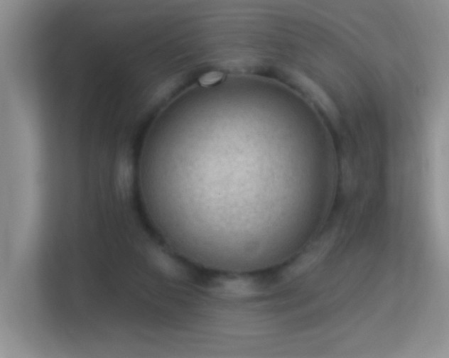 X0000113900113200909241445