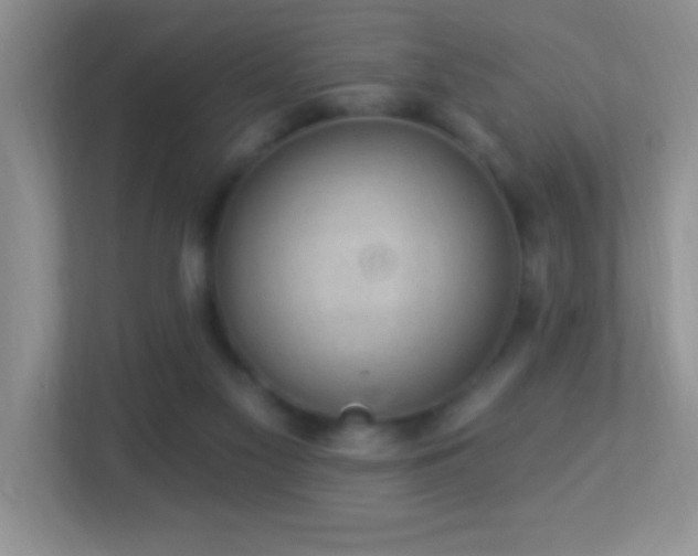 X0000113900117200909241445