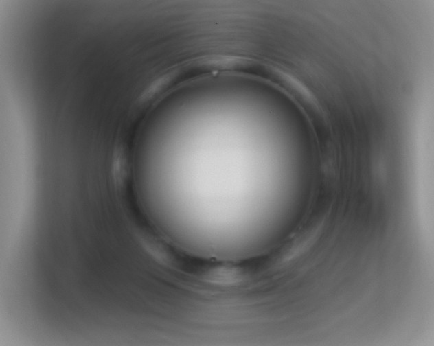 X0000113900119200909241445