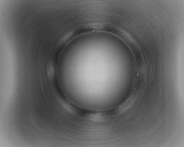 X0000113900120200909241445