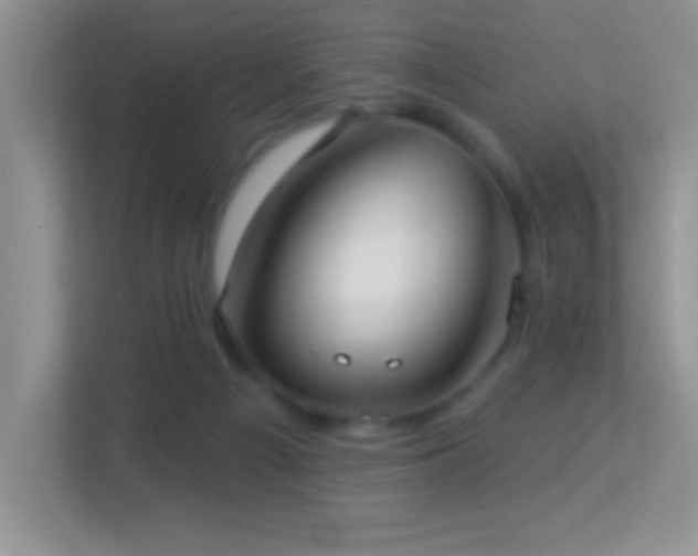 X0000113900121200909241445