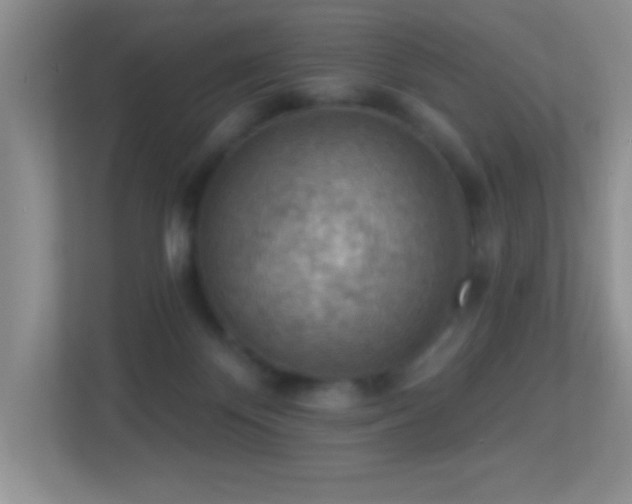 X0000113900124200909241445