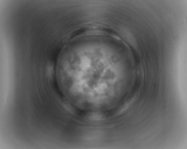 X0000113900127200909241445