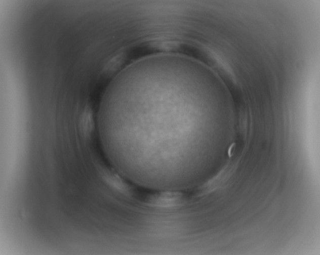 X0000113900128200909241445