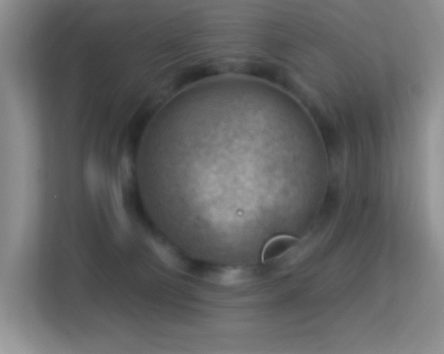 X0000113900130200909241445