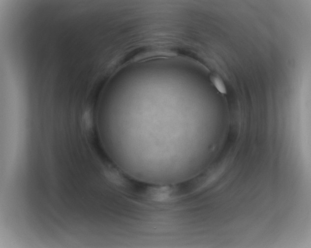 X0000113900131200909241445