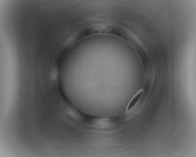 X0000113900132200909241445