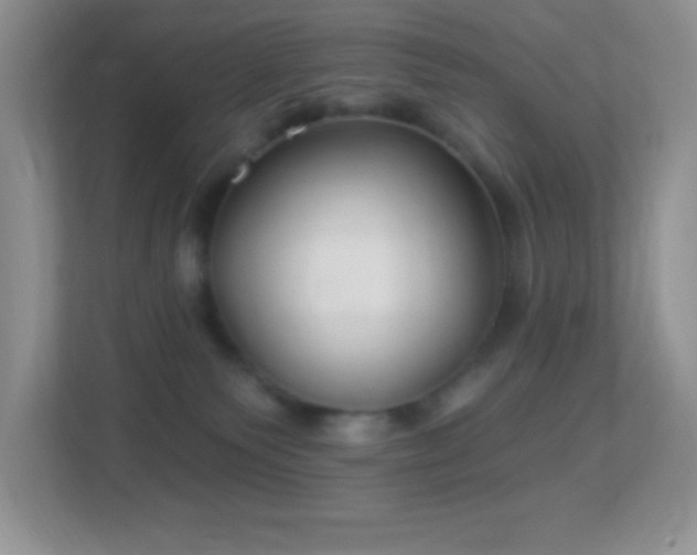 X0000113900135200909241445