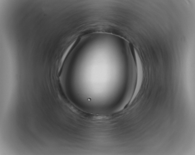 X0000113900137200909241445