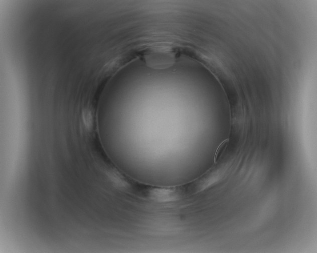 X0000113900139200909241445