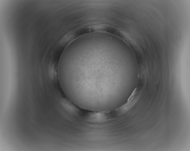 X0000113900140200909241445