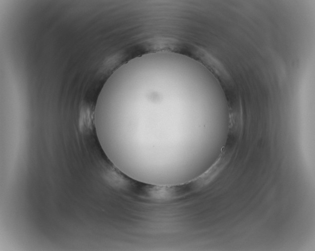 X0000113900142200909241445