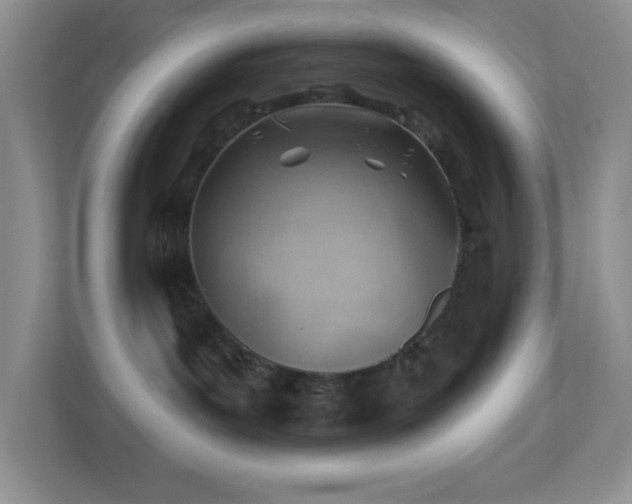 X0000113900143200909241445