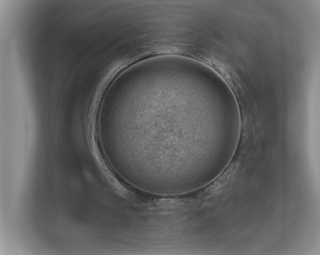 X0000113900145200909241444