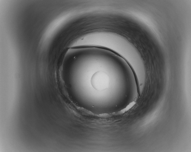 X0000113900146200909241444