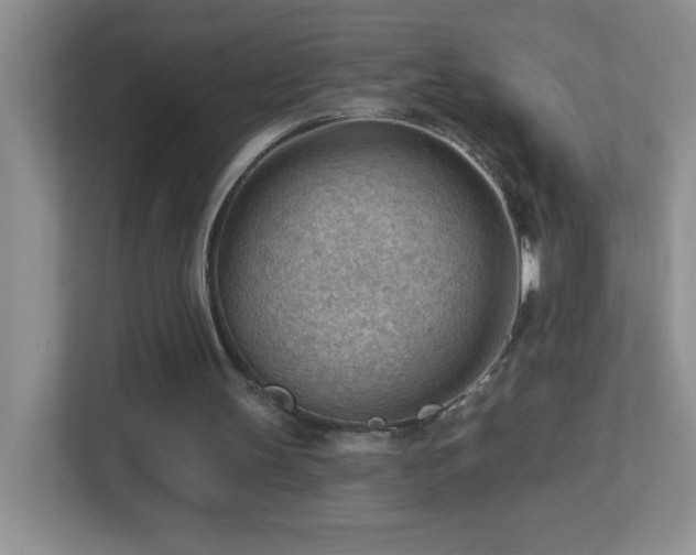 X0000113900147200909241444