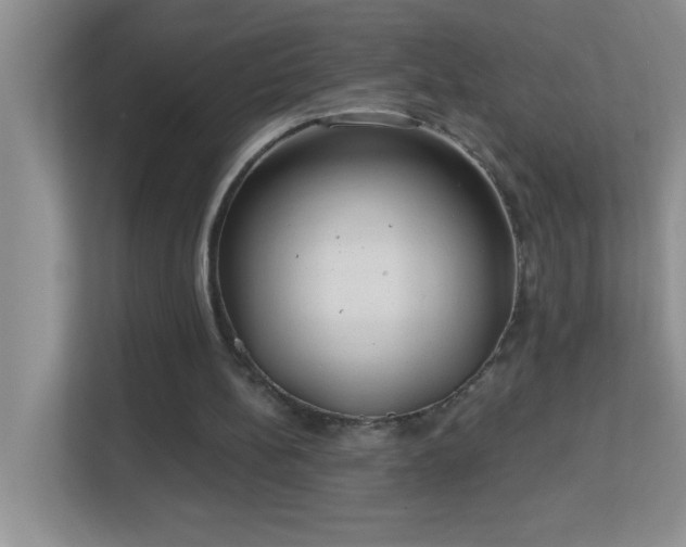 X0000113900148200909241444