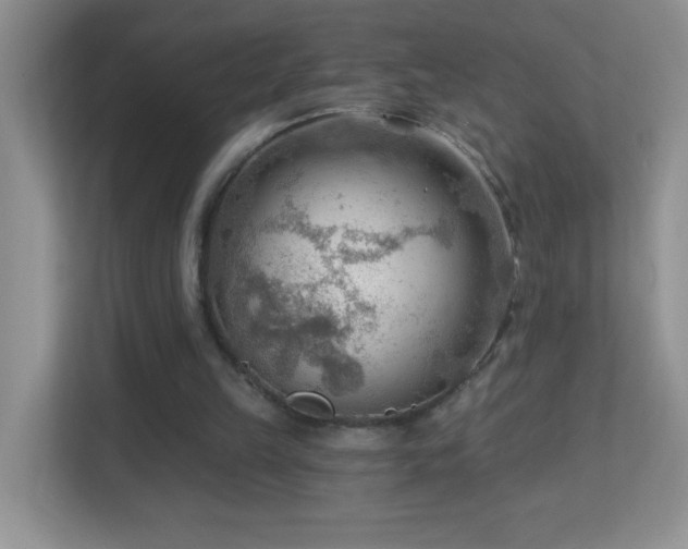 X0000113900149200909241444