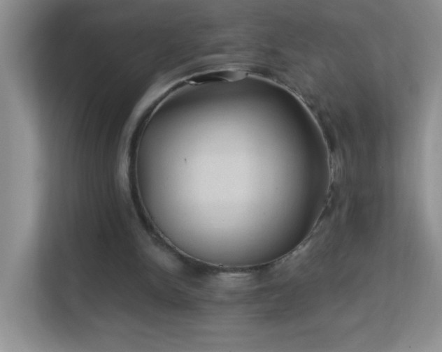 X0000113900150200909241444