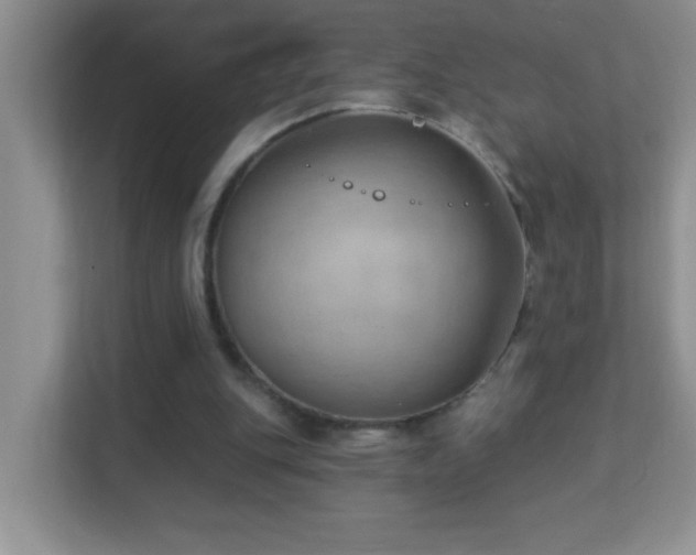 X0000113900151200909241444