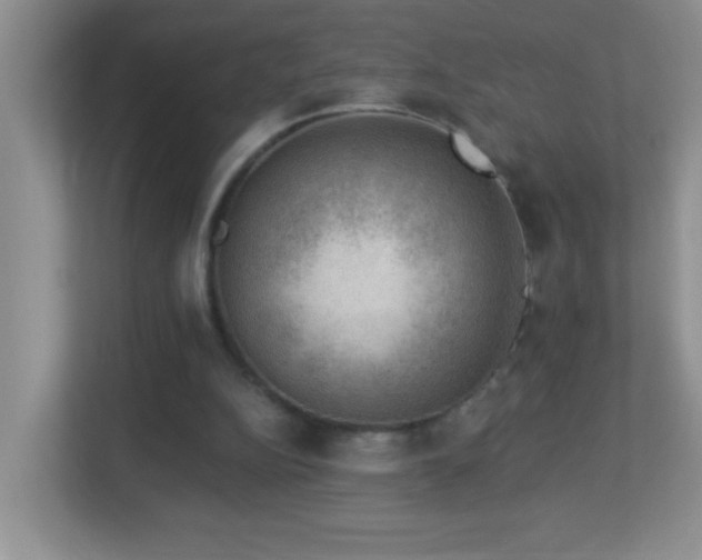 X0000113900152200909241444