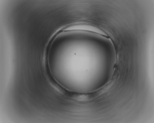 X0000113900156200909241444