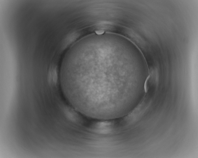 X0000113900158200909241444