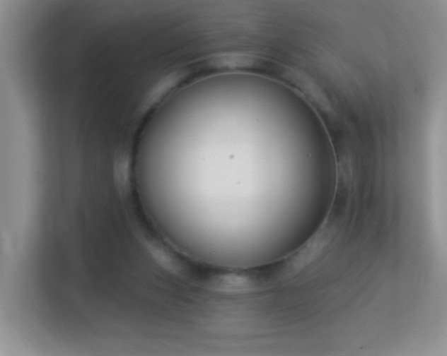 X0000113900159200909241444