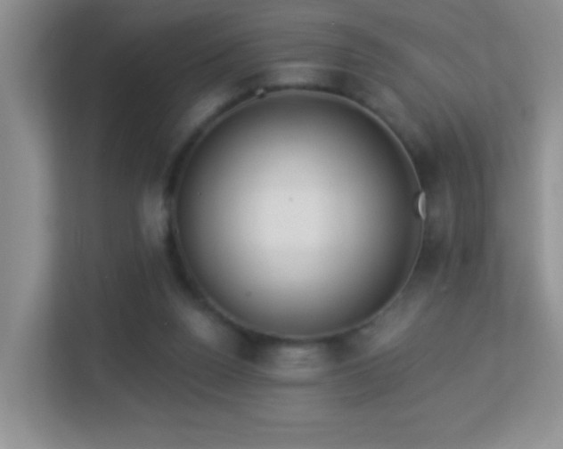 X0000113900160200909241444