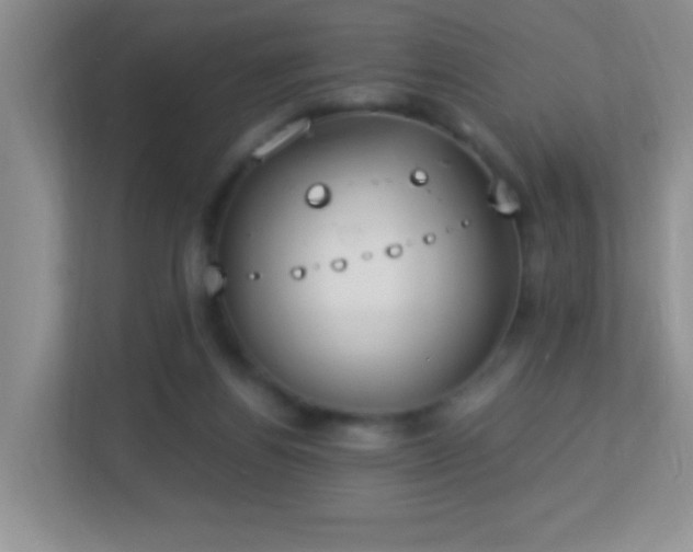 X0000113900164200909241444