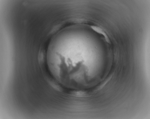 X0000113900165200909241444