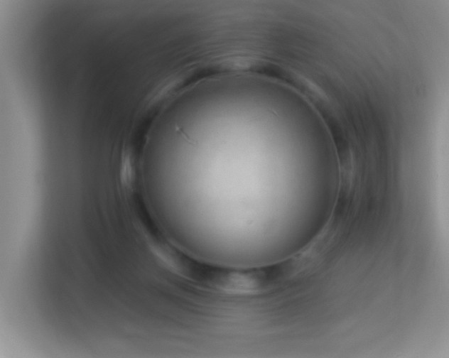 X0000113900166200909241444