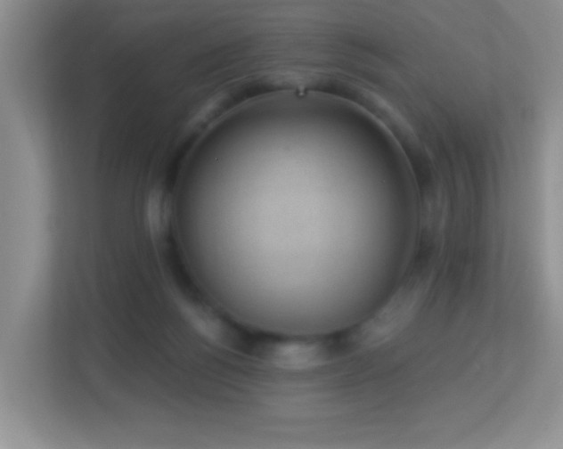 X0000113900168200909241444