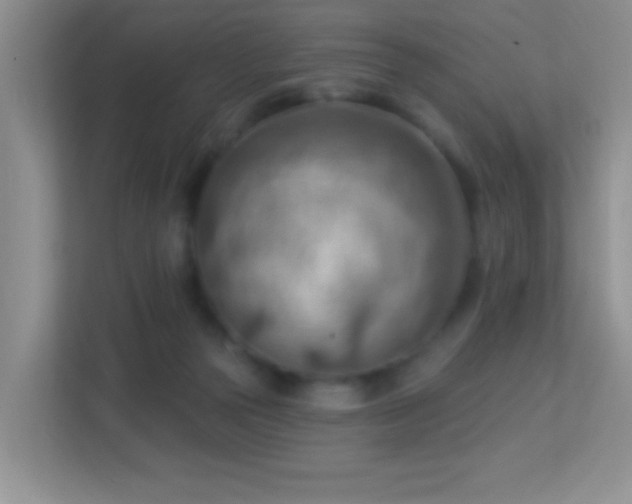 X0000113900169200909241444