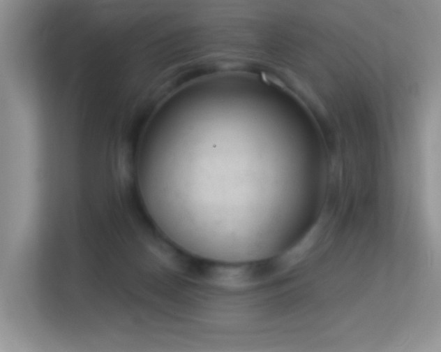 X0000113900170200909241444