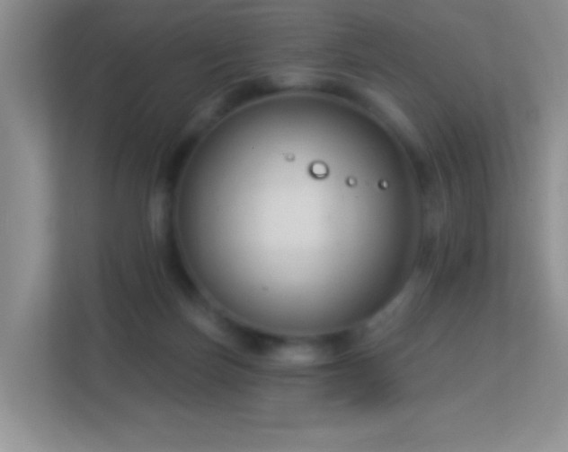 X0000113900171200909241444